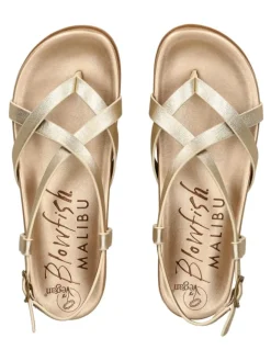 Zehensteg in Gold/Gold><noscript><img width=